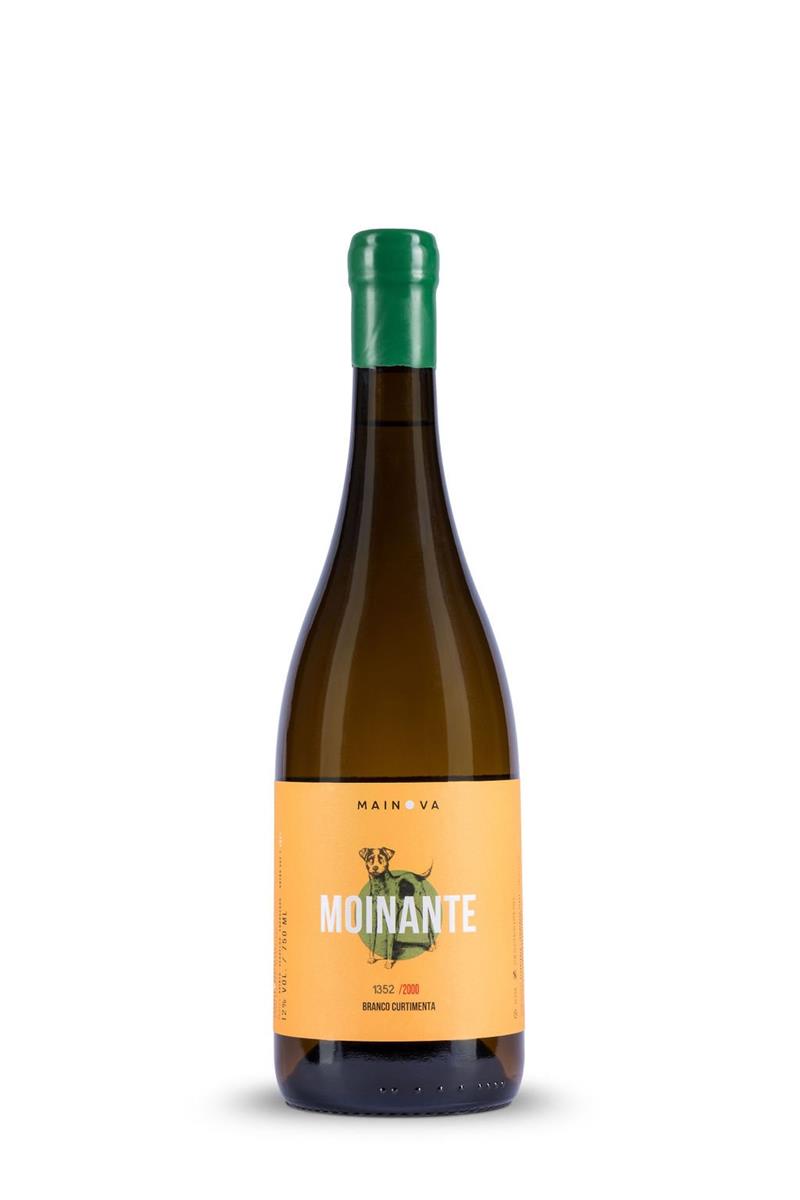Moinante Curtimenta 2023